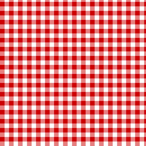 Gingham Mini Checks Red