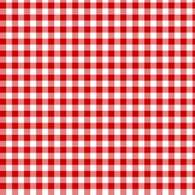 Gingham Mini Checks Red