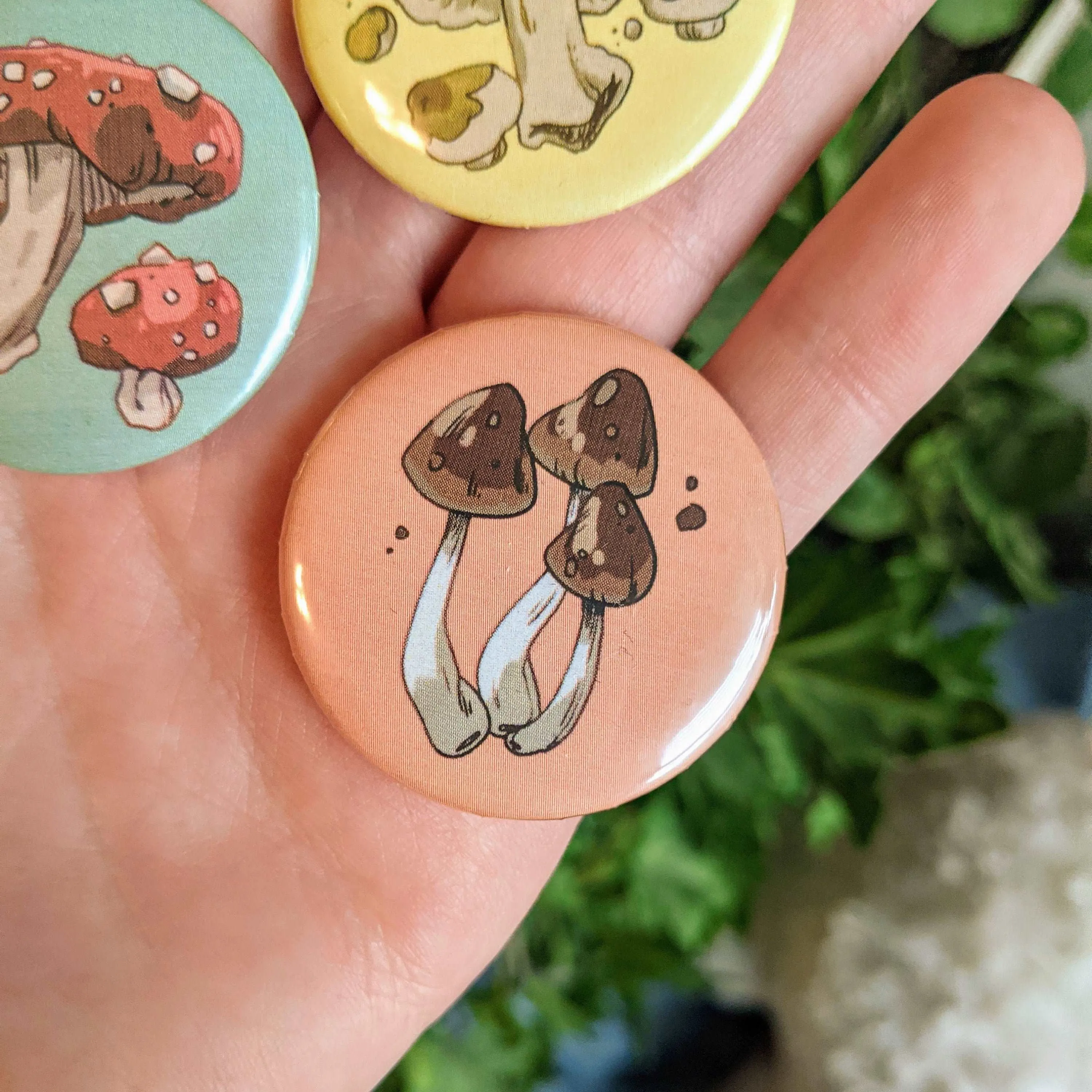 Mushroom Buttons 1.5 inch